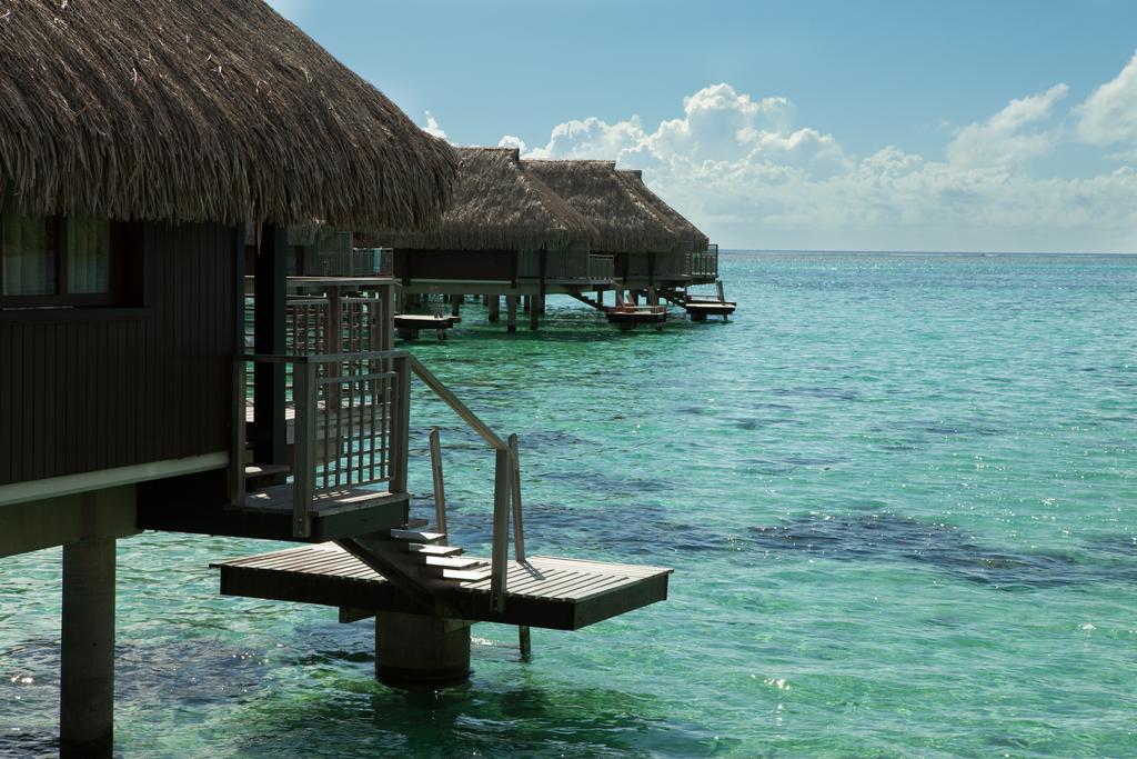 Hotel Hilton Moorea Lagoon Resort Французская Полинезия (Франция) цены