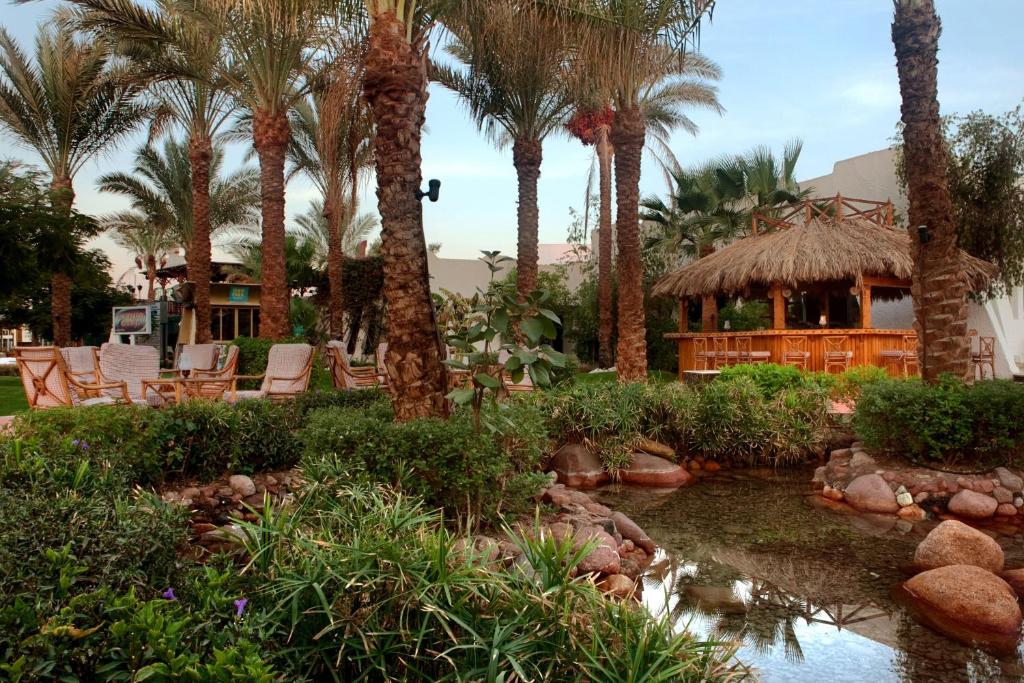 Відгуки про готелі Sharm Fayrouz Resort (ex. Hilton Fayrouz)