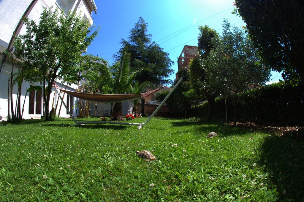 Villa Green Garden, Албания, Саранда, туры, фото и отзывы
