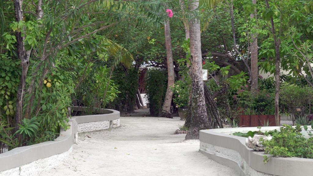 Тури в готель Nika Island Resort Арі & Расду Атоли Мальдіви