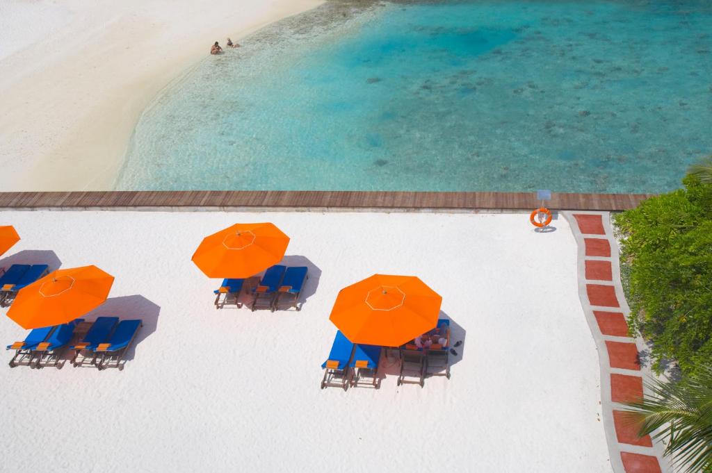 Hulhule Island Hotel Мальдивы цены