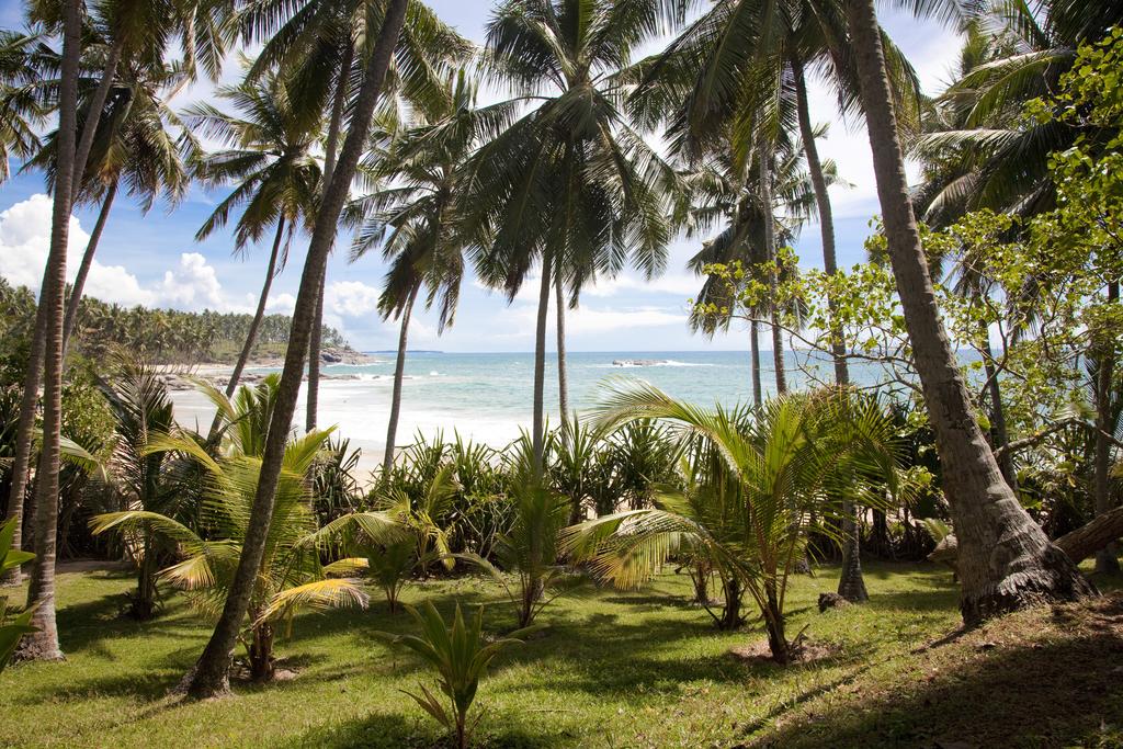 Palm Paradise Cabanas, Тангалле, Шри-Ланка, фотографии туров
