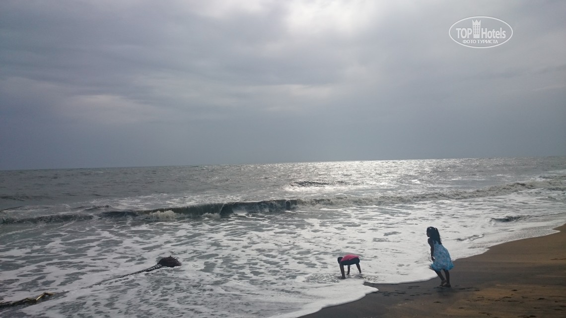 Rajah Beach Resort, Керала, Индия, фотографии туров