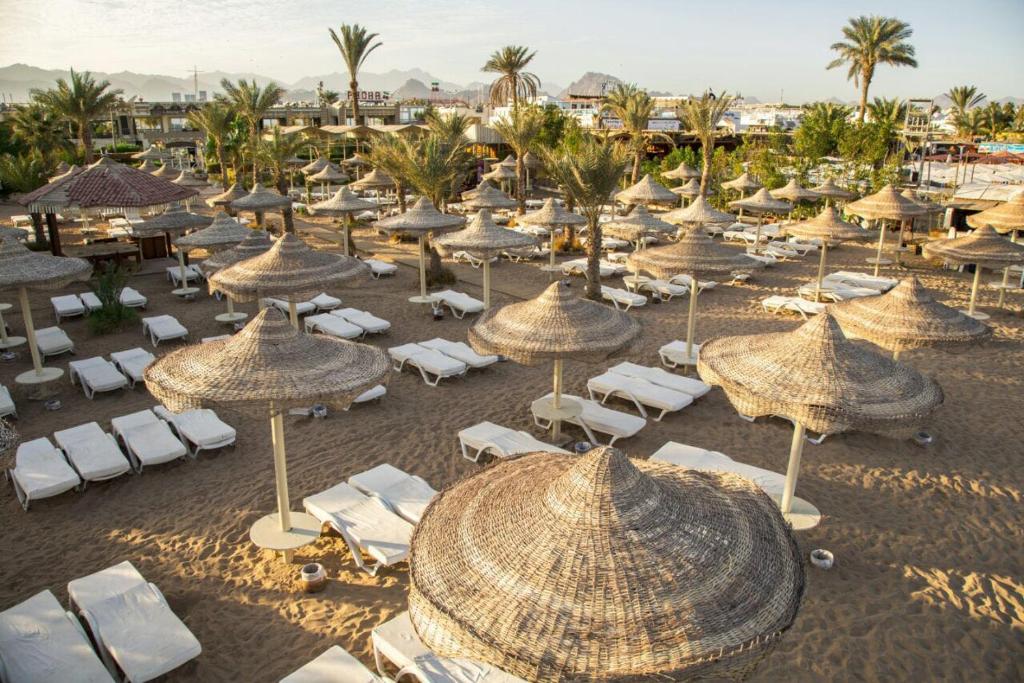 Cataract Resort, Шарм-ель-Шейх, Єгипет, фотографії турів