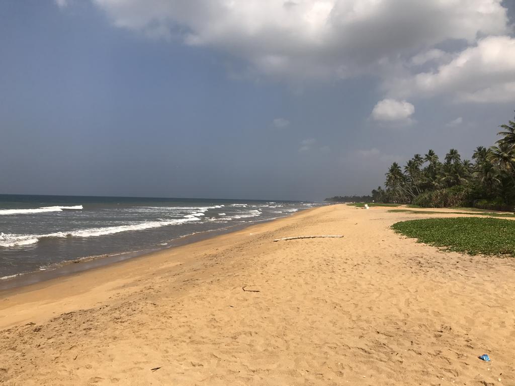 Шри-Ланка Palm Beach Villa Wadduwa