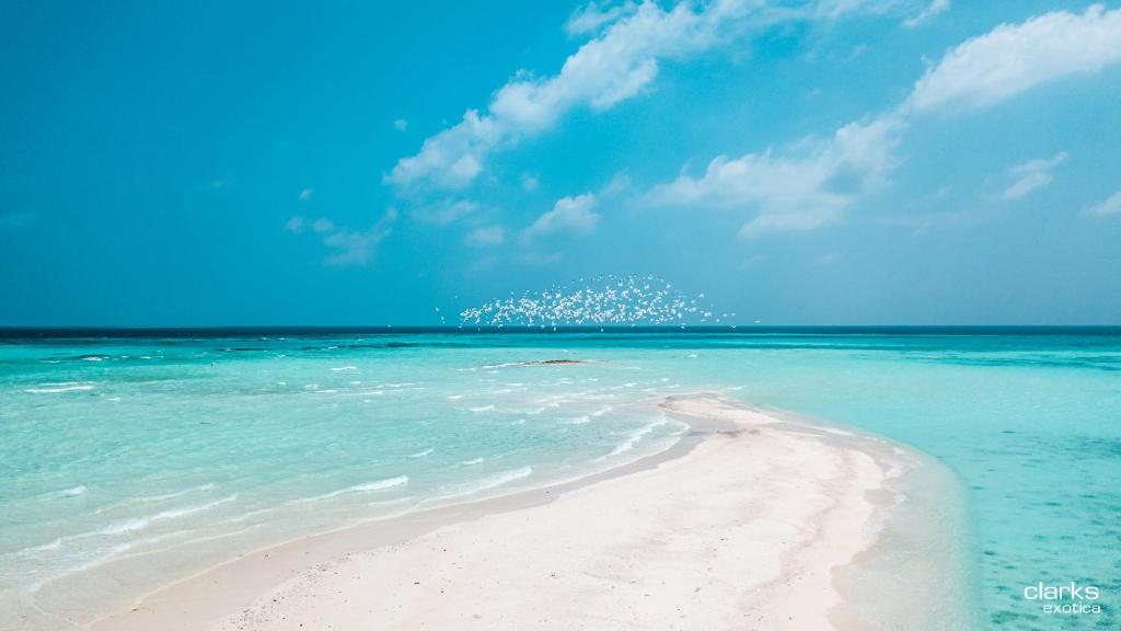 Clarks Exotica Maldives, Мальдивы
