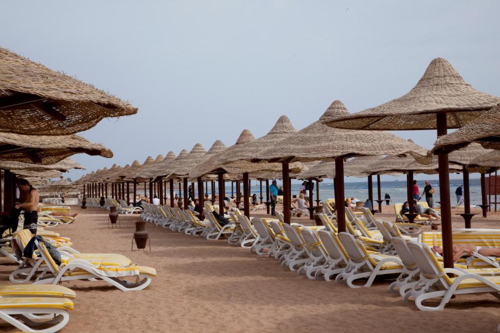 Отзывы туристов Coral Beach Rotana Resort Montazah