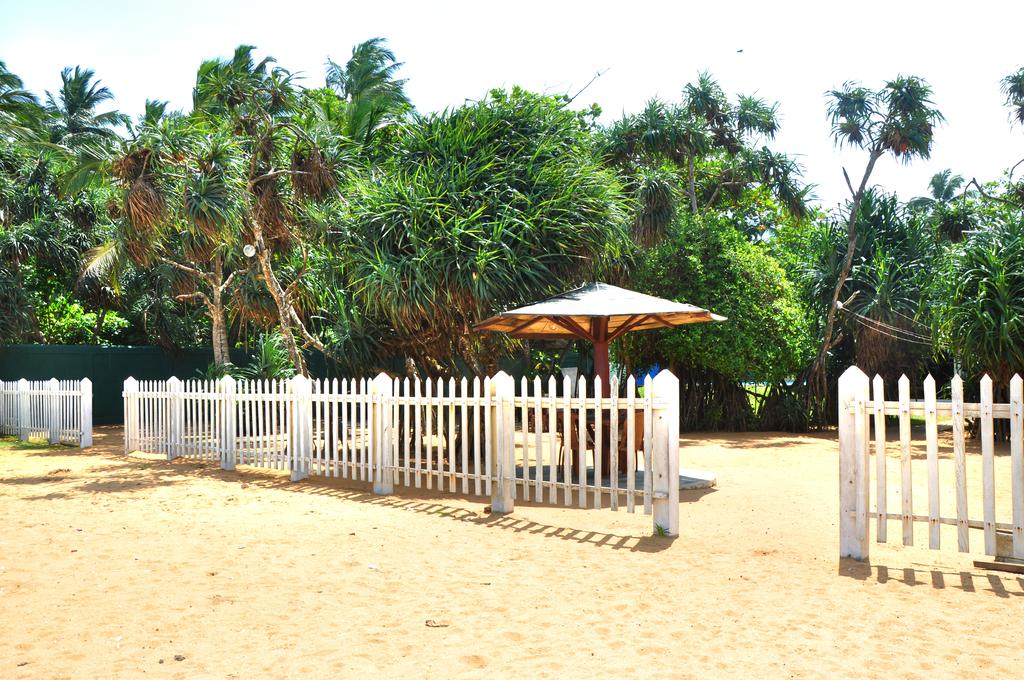 Відпочинок в готелі Green Shadows Beach Hotel Калутара Шрі-Ланка