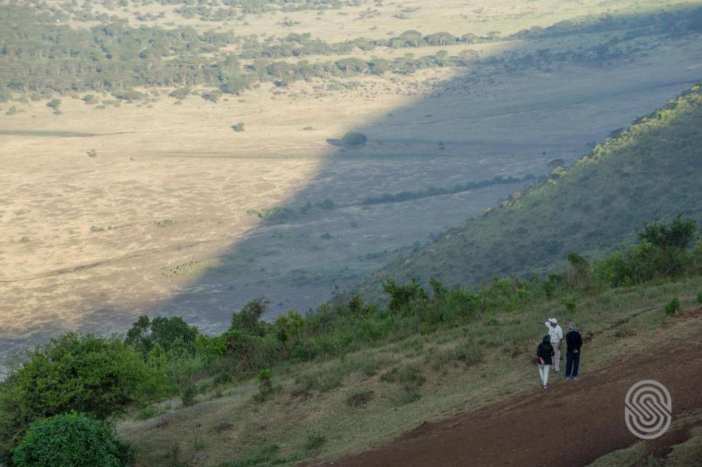 Ngorongoro Serena Safari Lodge, Танзания, Занзибар (остров), туры, фото и отзывы