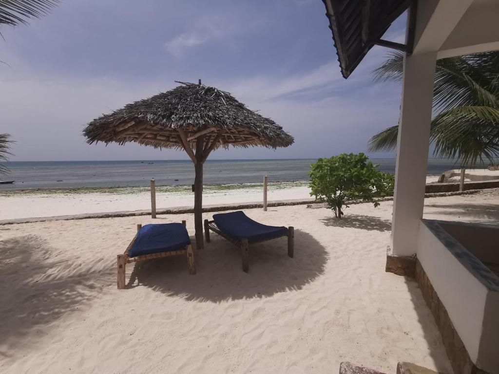 Beach Baby Lodge Танзания цены