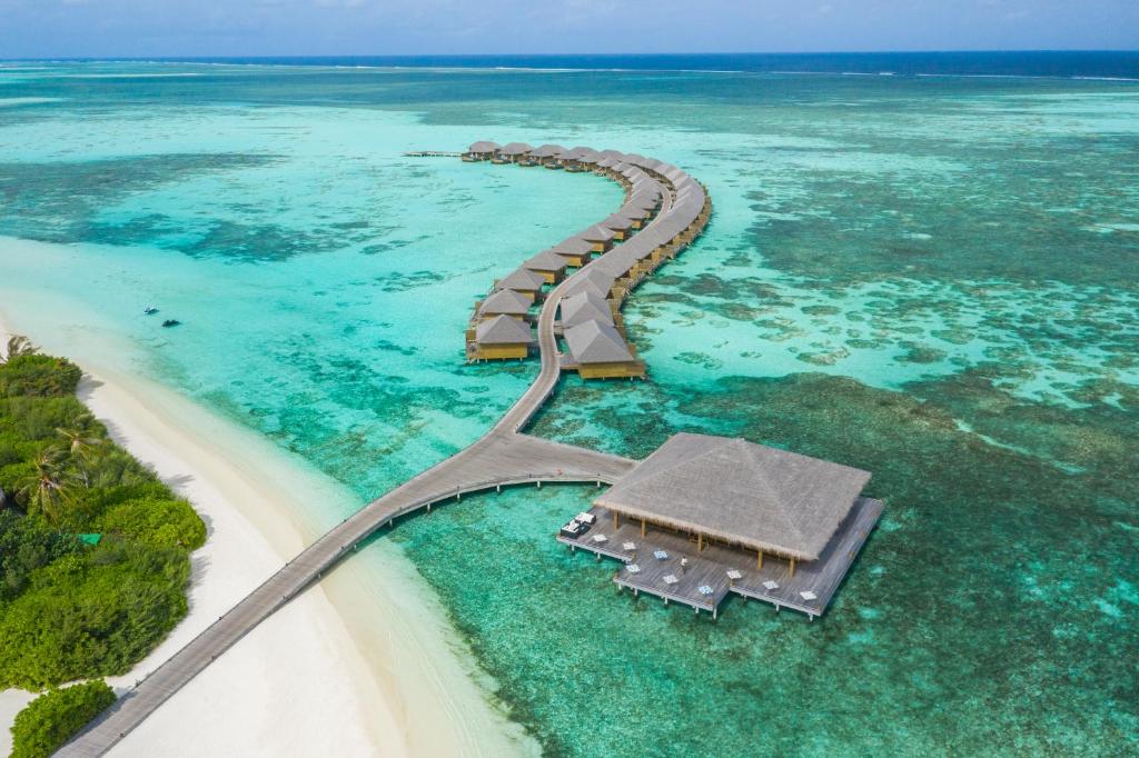Cocoon Maldives, Лавіані Атол ціни