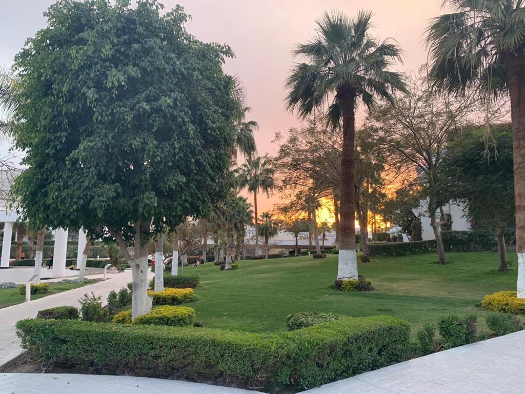 Відпочинок в готелі Monte Carlo Sharm El Sheikh Resort Шарм-ель-Шейх