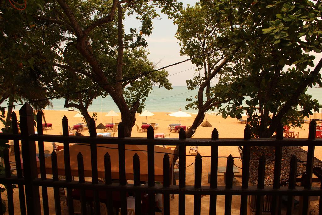 Hotel Tartaruga, Шри-Ланка, Унаватуна, туры, фото и отзывы