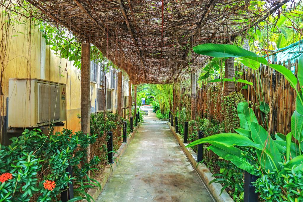 Відгуки про готелі Baan Nueng Kata (The Kata Orient House)