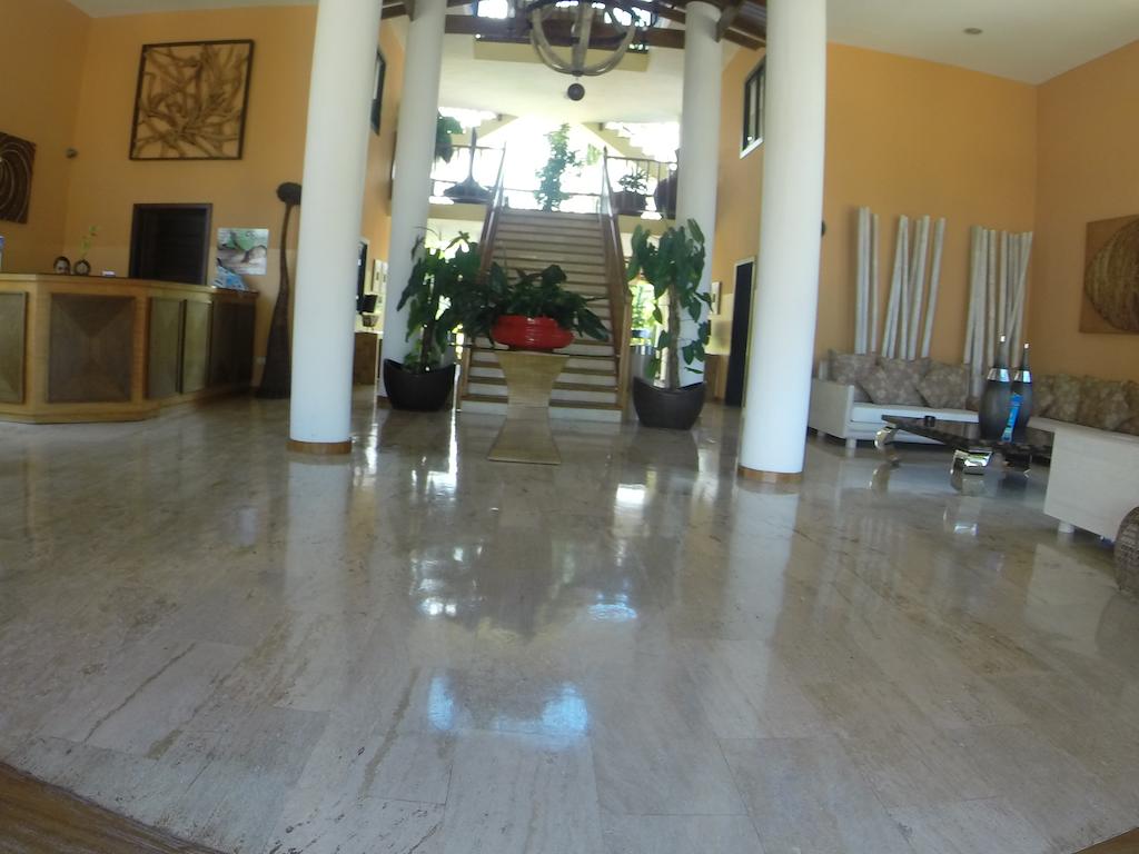 Merengue Punta Cana Hotel, Доминиканская республика, Пунта-Кана, туры, фото и отзывы