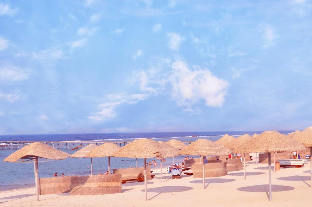 Onatti Beach Resort (Adults Only 16+), Эль-Кусейр цены