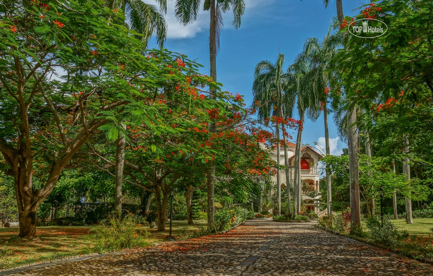 Горящие туры в отель The Balaji Palace at Playa Grande Рио-Сан-Хуан Доминиканская республика