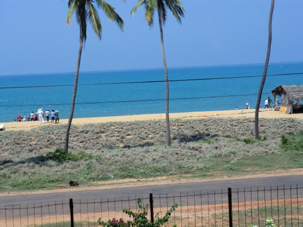 C&I Beach Hotel Шри-Ланка цены
