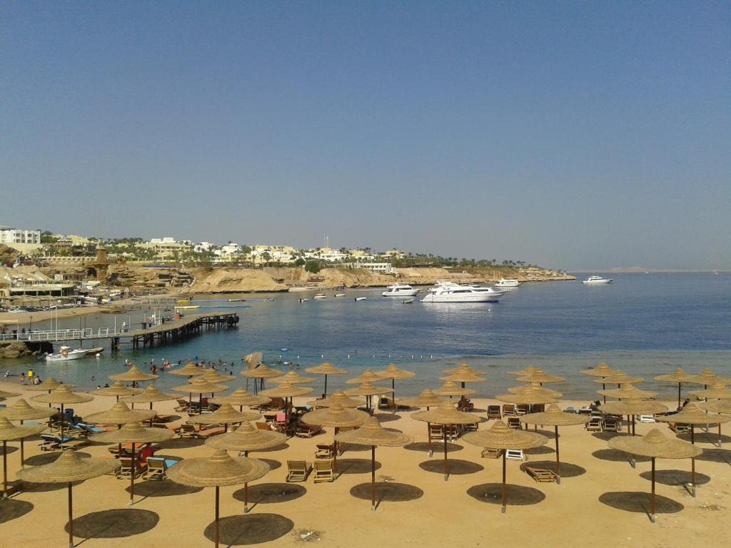 Mazar Resort & Spa, Egipt, Szarm el-Szejk, wakacje, zdjęcia i recenzje