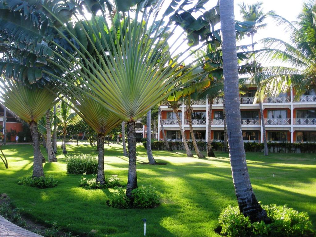 Vik Hotel Arena Blanca (ex. Lti Beach Resort Punta Cana), Домініканська республіка