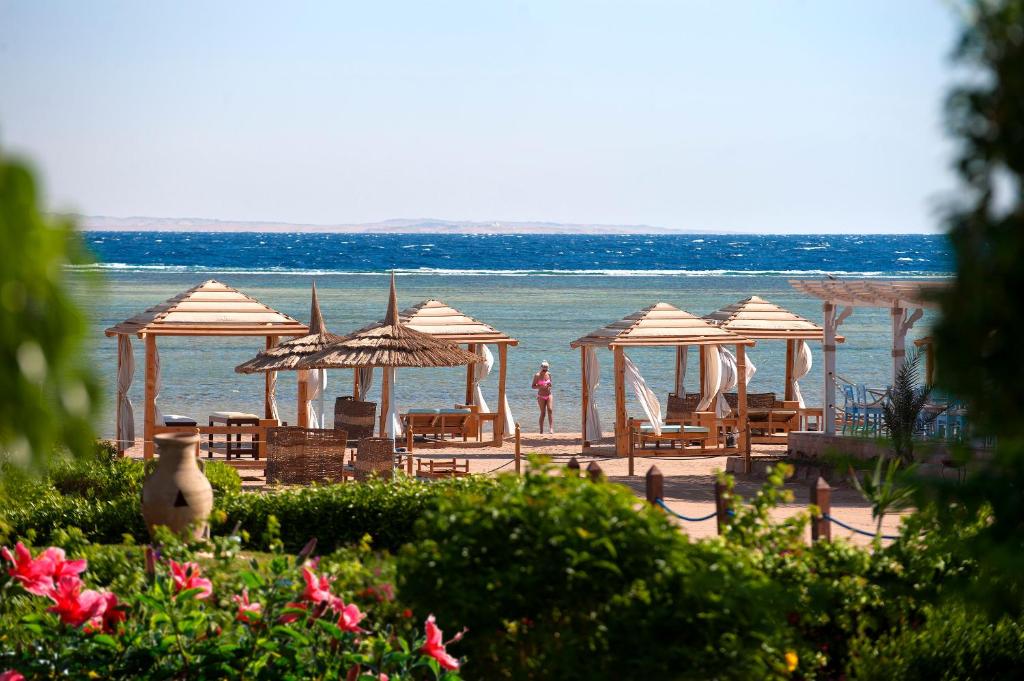 Oferty hotelowe last minute Amwaj Oyoun Hotel & Resort Szarm el-Szejk