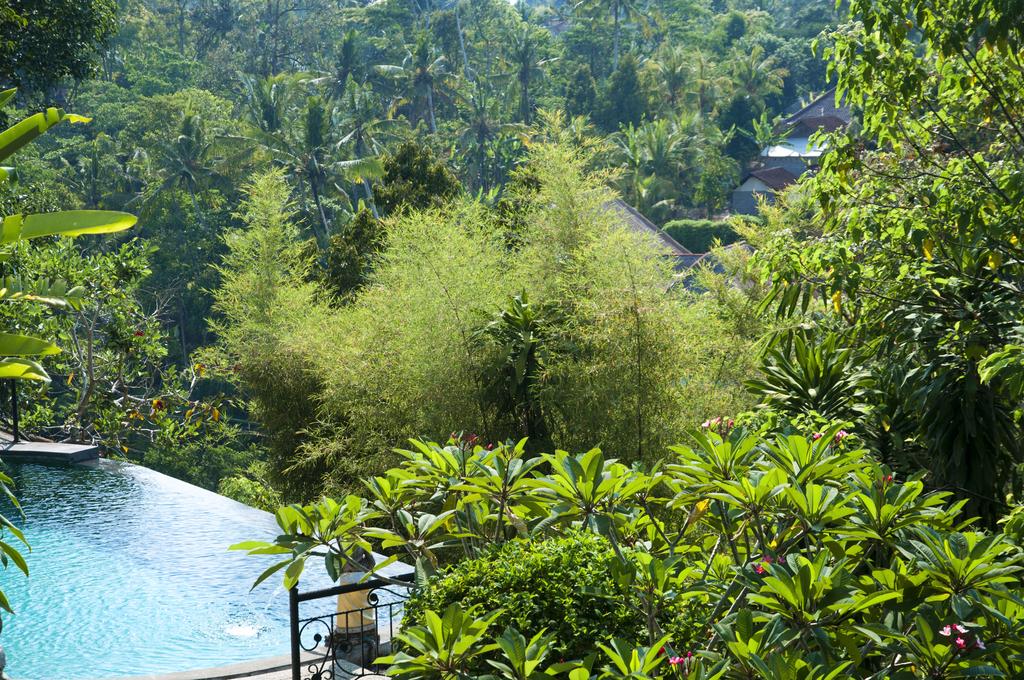 Бали (курорт) Dedari Villa цены
