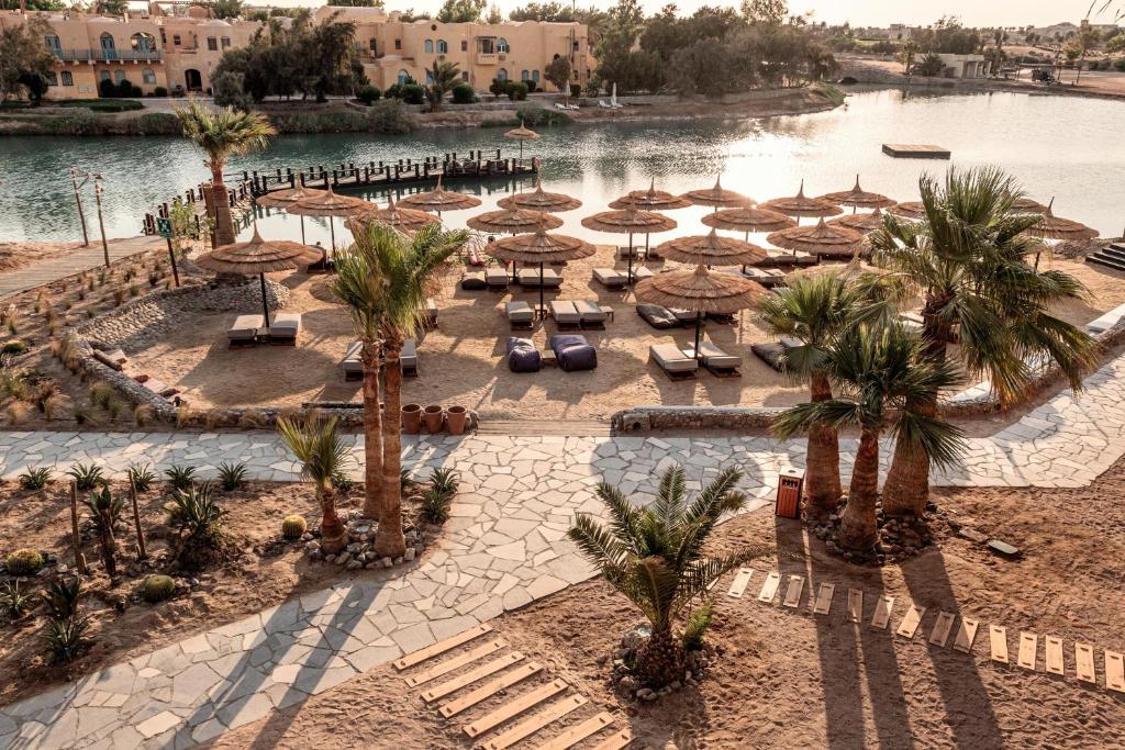 Hotel, 4, Cook's Club El Gouna (Adults Only 16+)