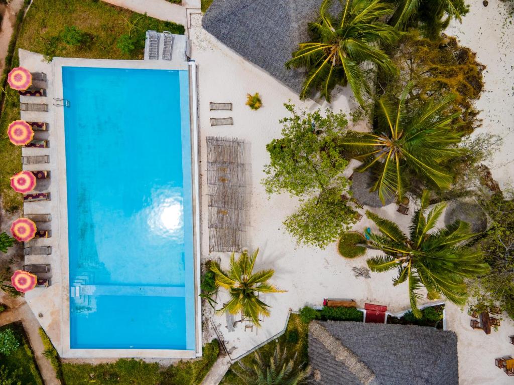 Bella Vista Resort Zanzibar, Танзания, Кизимкази, туры, фото и отзывы