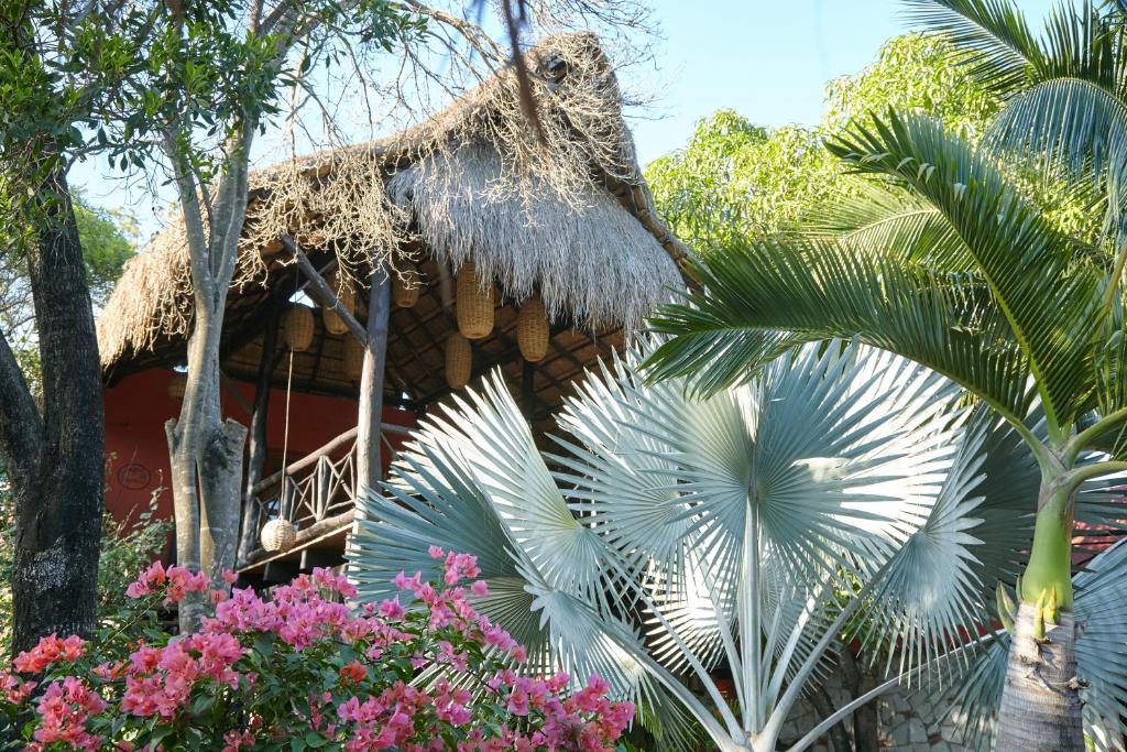Coco Hacienda Tulum, фотографии