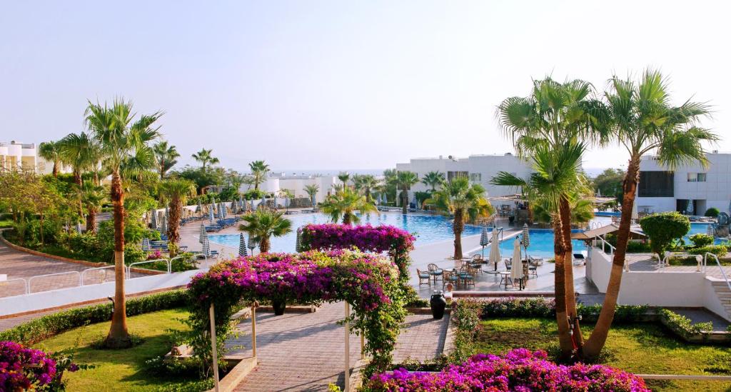 Hotel, Sharm Reef