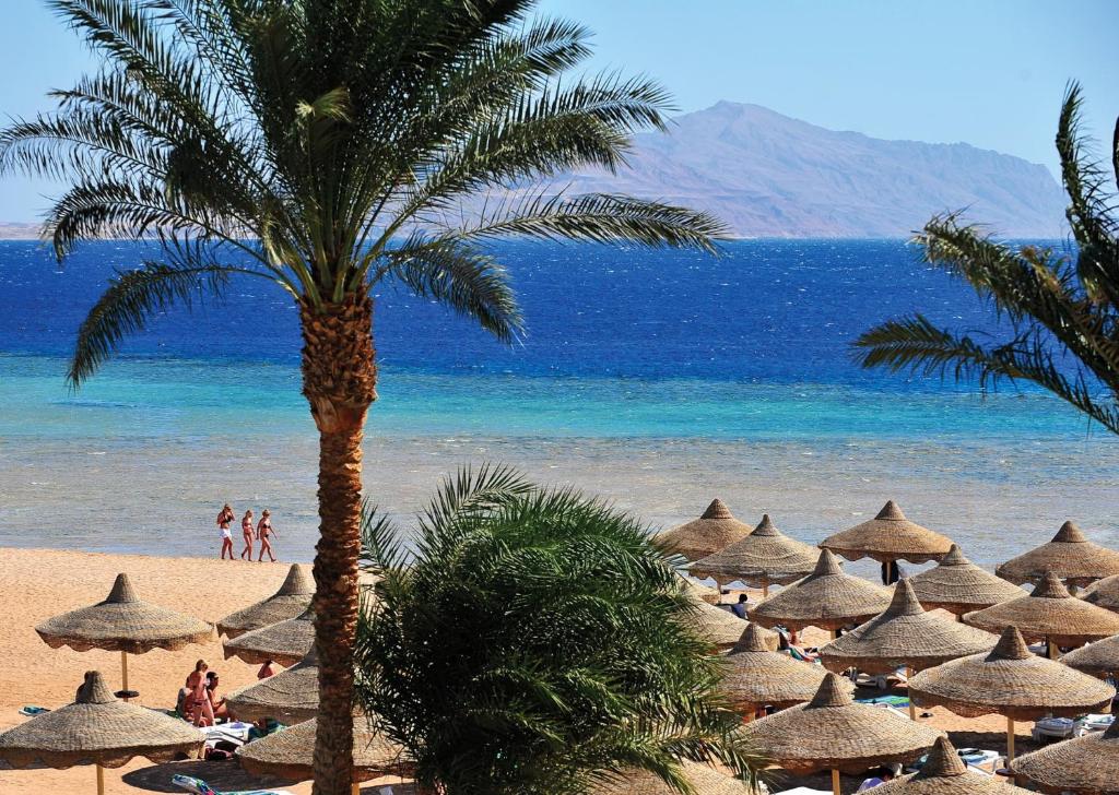 Baron Palms Resort (Adult Only 16+), Egipt, Szarm el-Szejk, wakacje, zdjęcia i recenzje