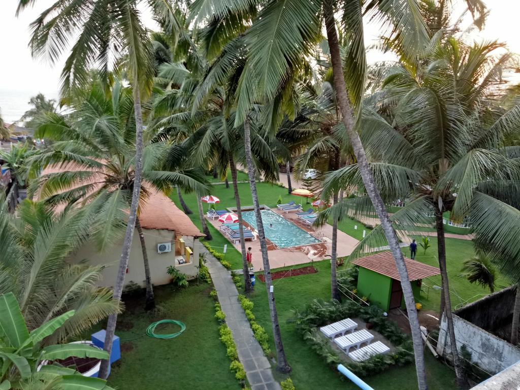 Отдых в отеле Morjim Coco Palms Resort (ex. Morjim Grande) Морджим