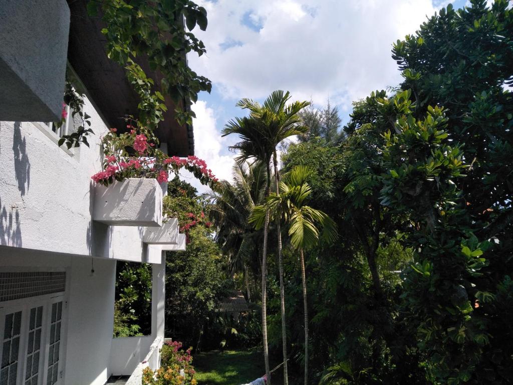 Отдых в отеле Blue Ocean View Hotel Хиккадува Шри-Ланка