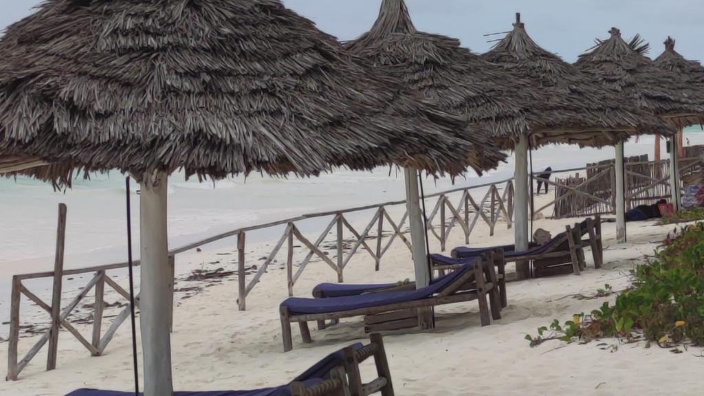Oasis Beach Inn, Джамбиани, Танзания, фотографии туров