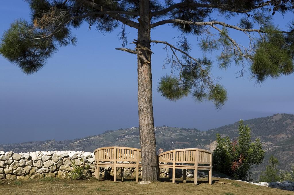 Paradisos Hills Hotel, Пафос, Кипр, фотографии туров