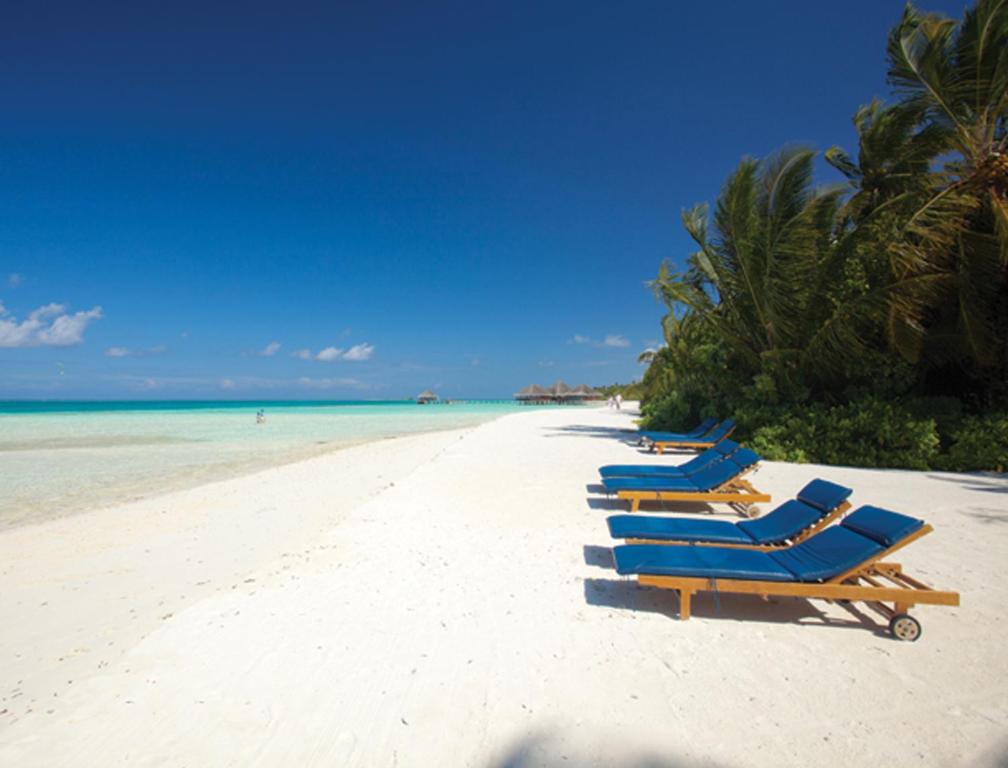 Medhufushi Island Resort фото туристов