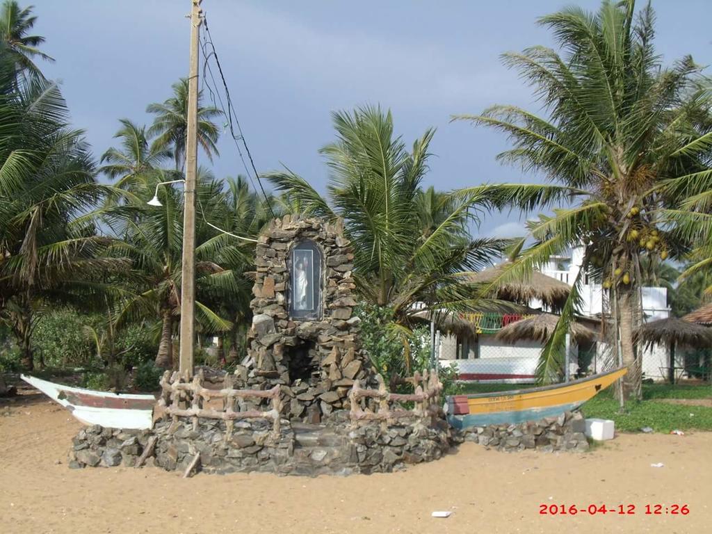 Barasti Beach Resort, Ваддува, Шри-Ланка, фотографии туров