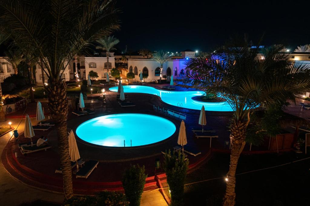 Отзывы гостей отеля Viva Sharm Hotel