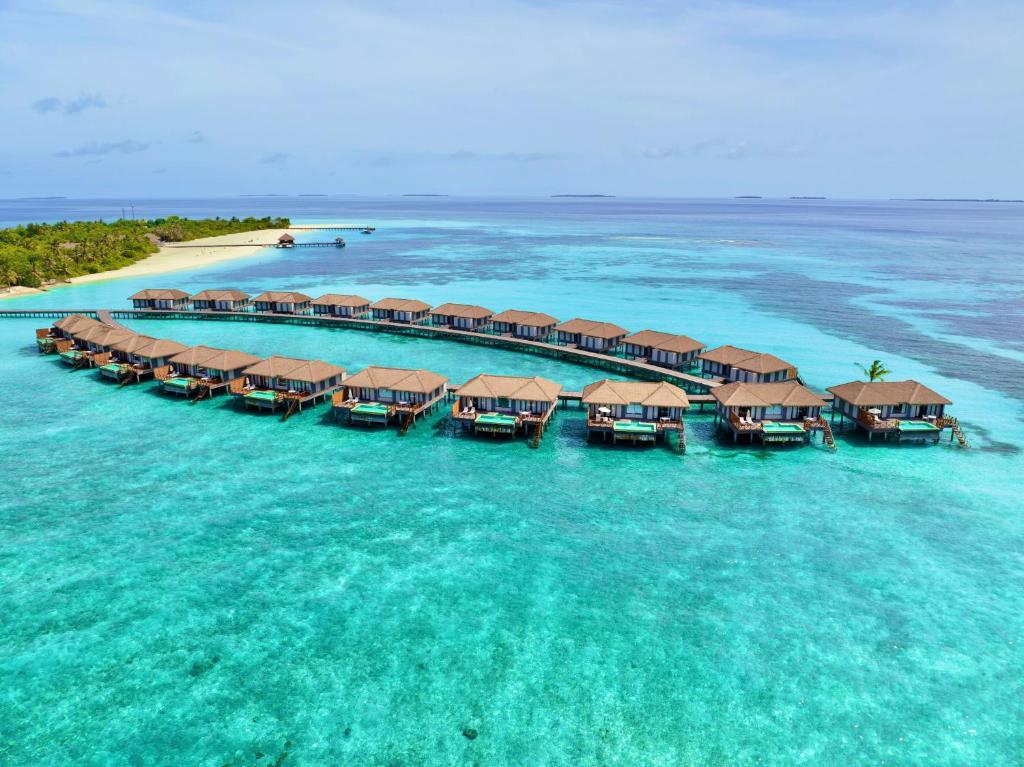 Отзывы гостей отеля Noku Maldives (ex. Roxy Maldives)