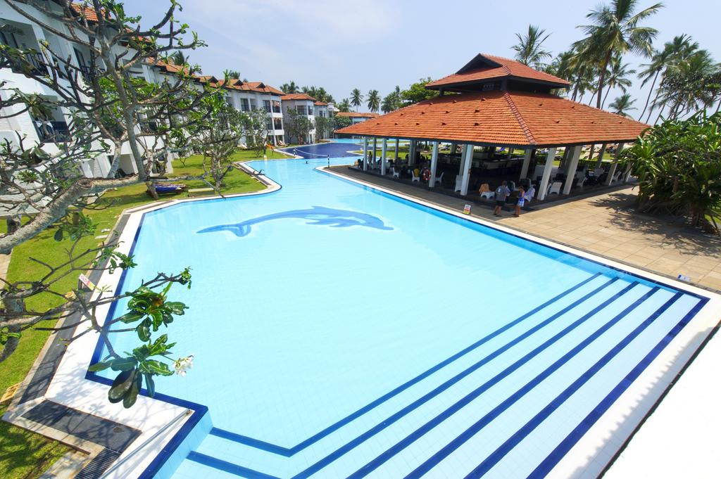 Hot tours in Hotel Club Hotel Dolphin Waikkal Sri Lanka