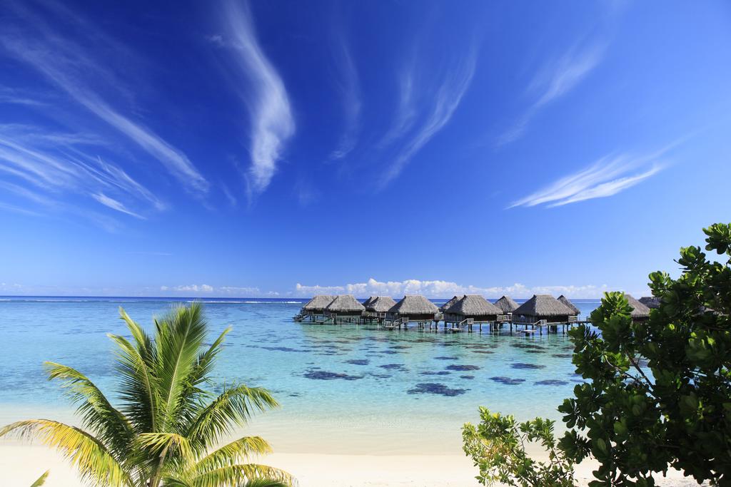French Polynesia (France) Hotel Hilton Moorea Lagoon Resort