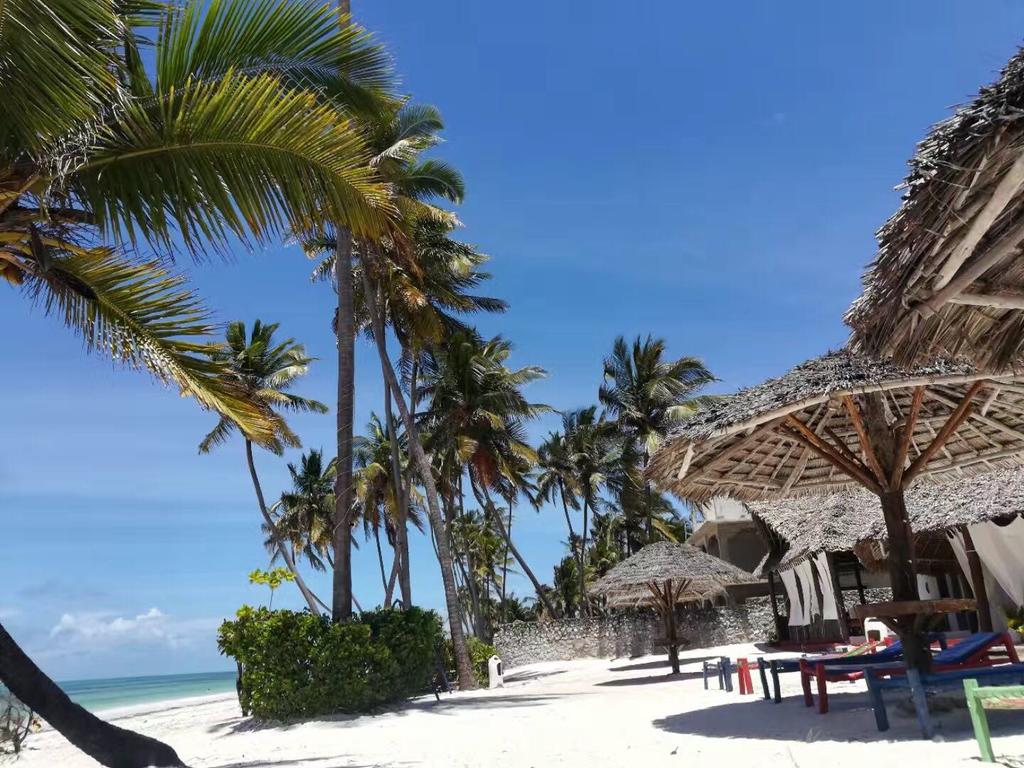 Hot tours in Hotel African Sun Sand Sea Beach Resort & Spa Bwejuu Tanzania