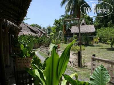 Wild Orchid Beach Resort, Havelock, photos of tours