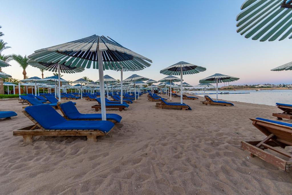 Ghazala Beach, Шарм-ель-Шейх, Єгипет, фотографії турів