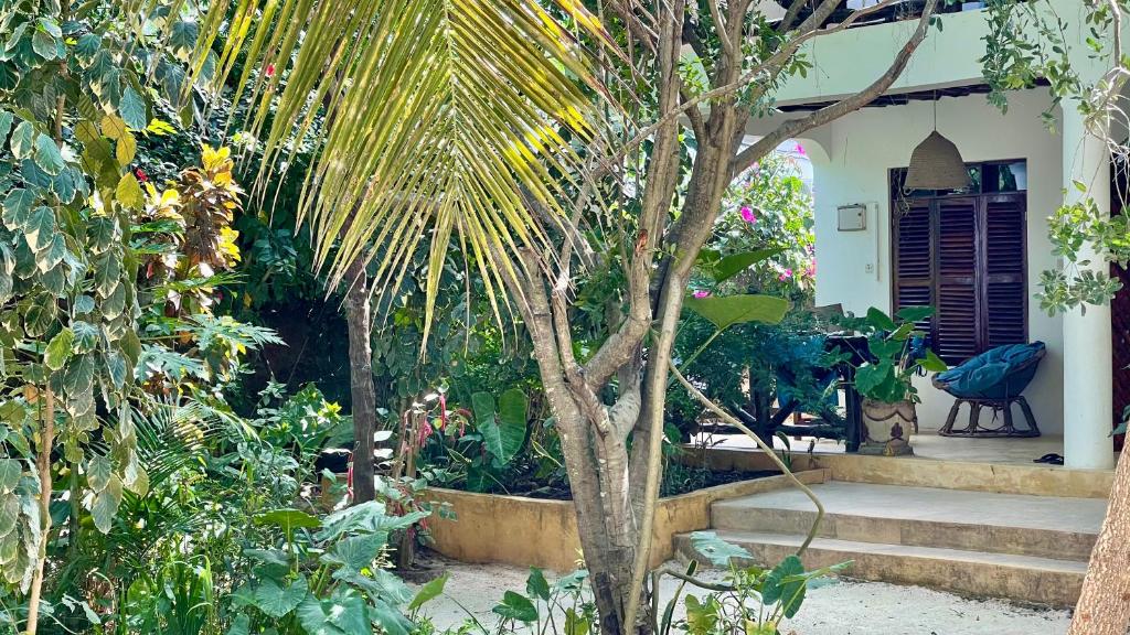 Hotel reviews Atii Garden Bungalows