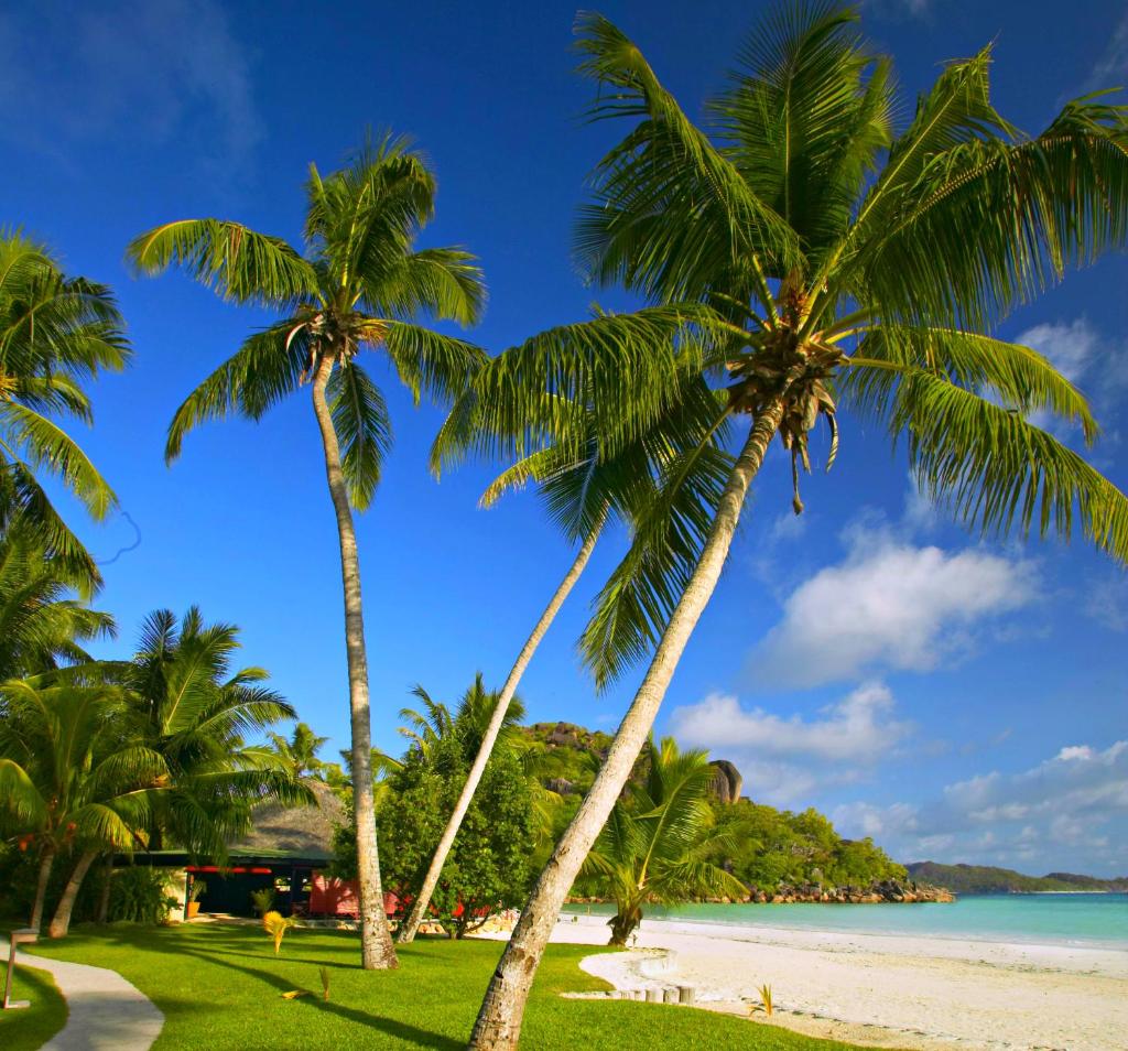 Paradise Sun Hotel, Seszele, Praslin (wyspa), wakacje, zdjęcia i recenzje