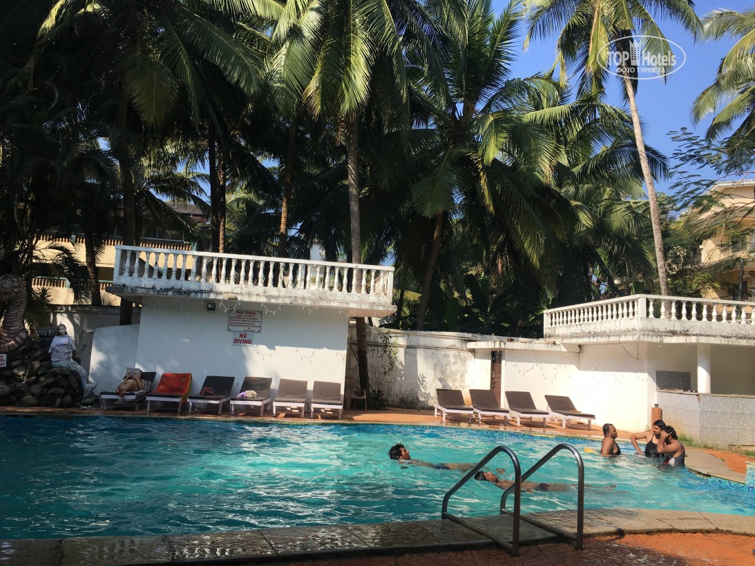 Palm Resort Goa Индия цены