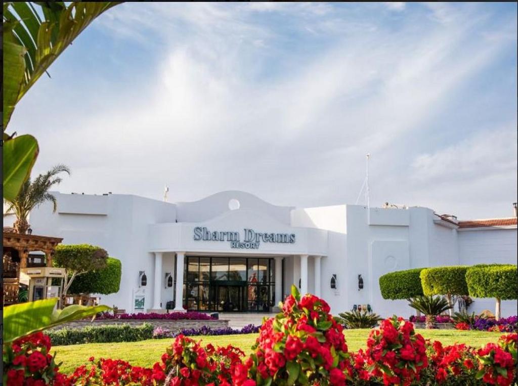 Hotel, 5, Jaz Sharm Dreams (ex. Sharm Dreams)