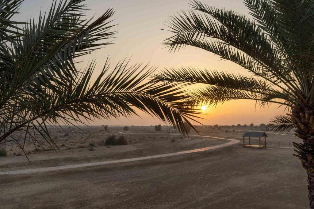Bab Al Shams, A Rare Finds Desert Resort, zdjęcie