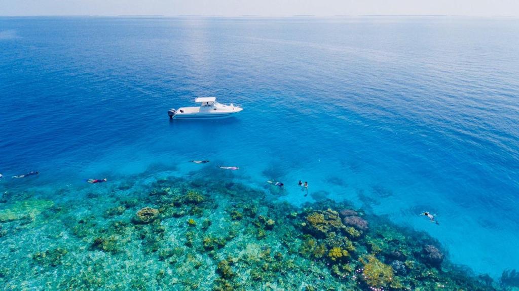 Recenzje turystów Reveries Maldives
